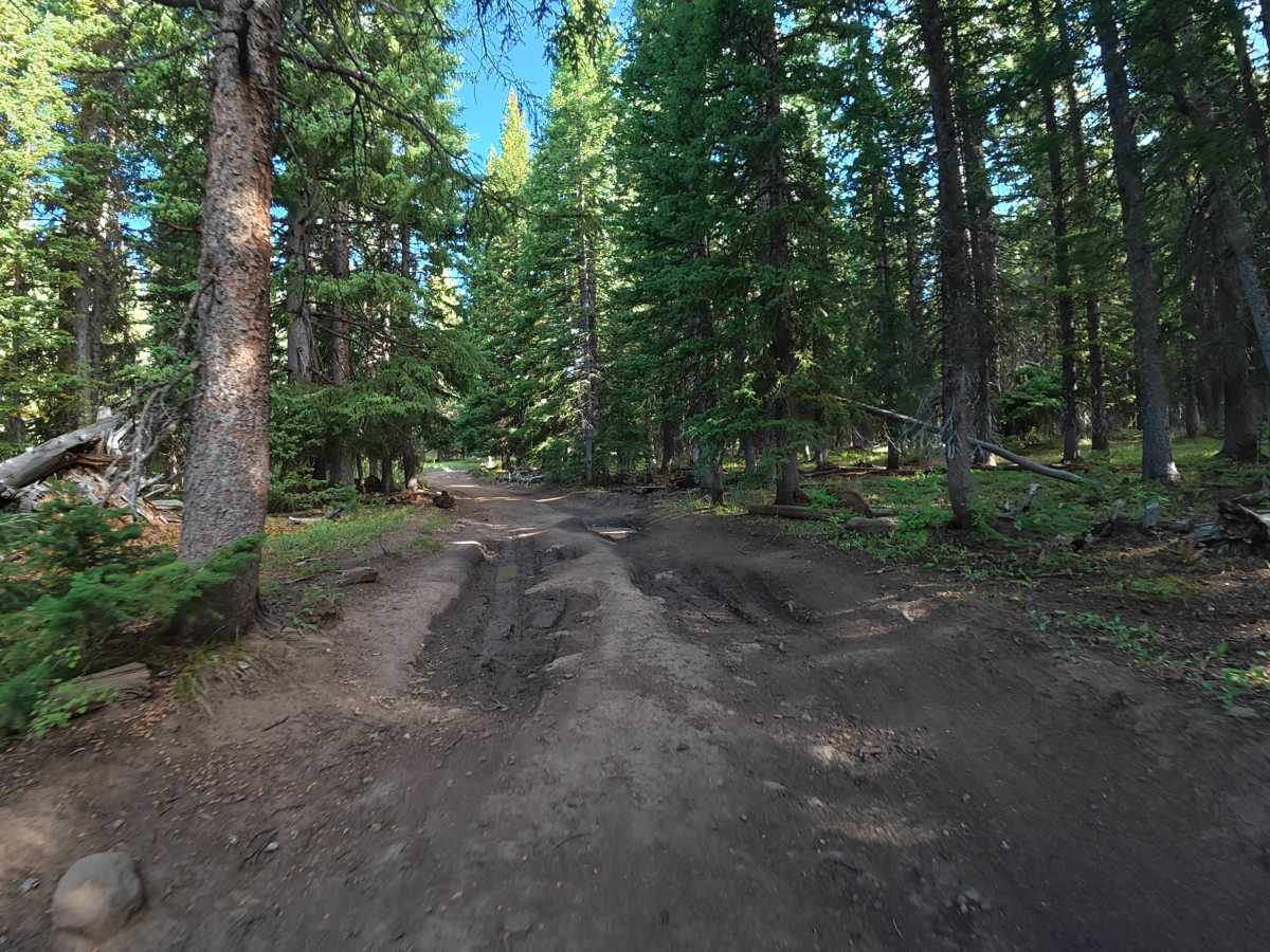 Burrow Mountain Road - FS 246 photo 2