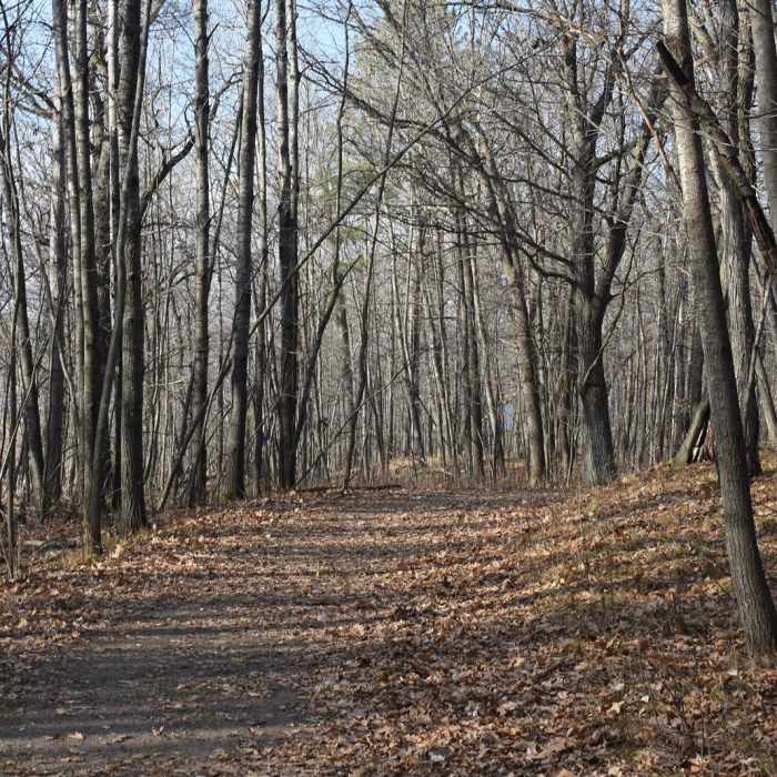 Near Hiking Club Trail - Mille Lacs Kathio State Park