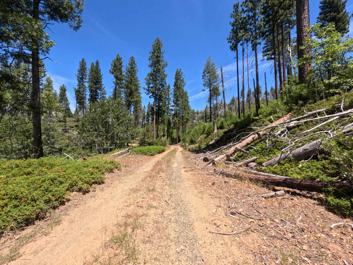 FS 1S16Y trail photo