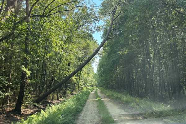 Litchfield Trail 