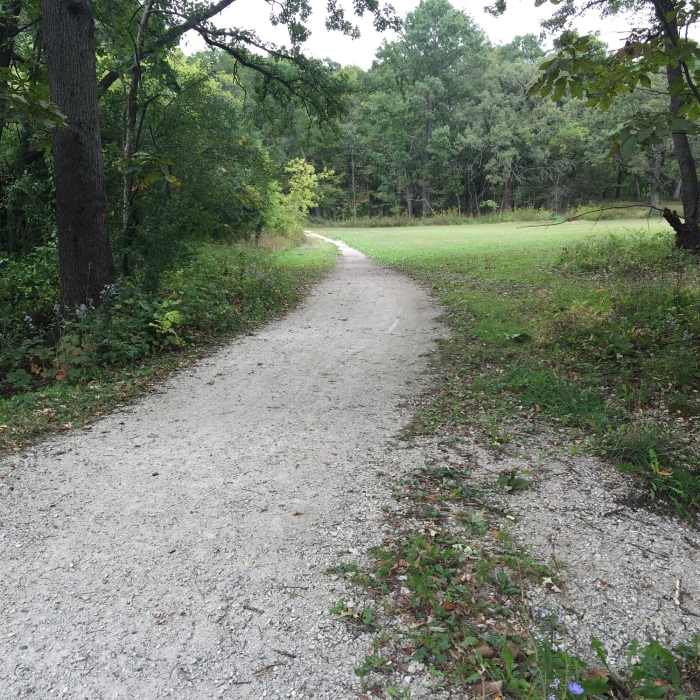 A little further up on the Yellow Loop. Near Deer Grove Forest Loop