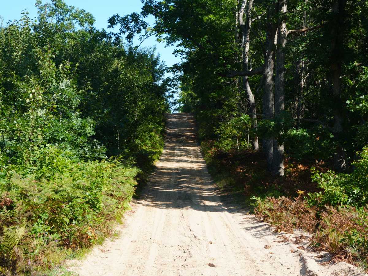 Woods Road photo 2