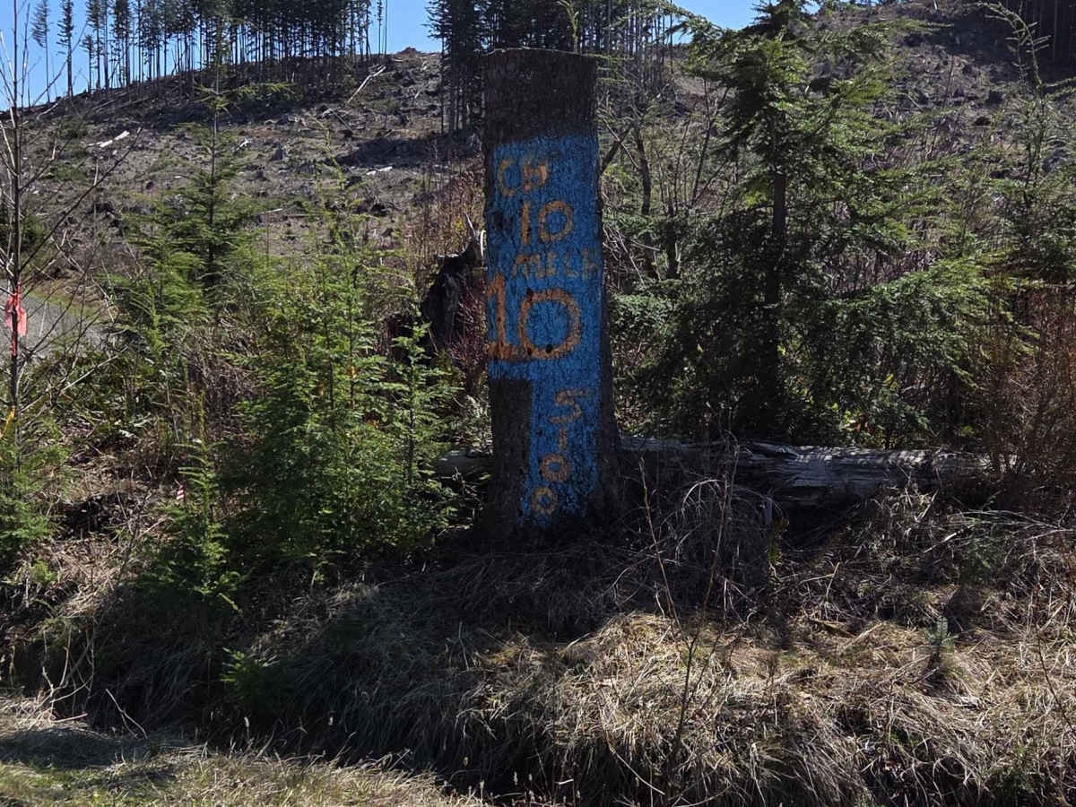 5100 trail photo