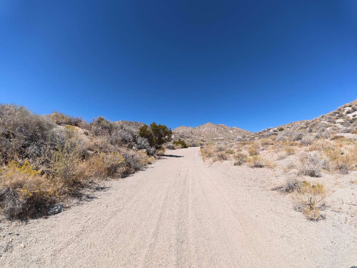BLM 544 photo 3