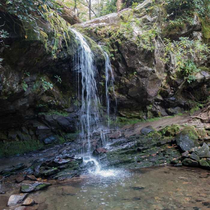 Near Mount LeConte via Trillium Gap + Boulevard Trail Near Mount LeConte via Trillium Gap + Boulevard Trail