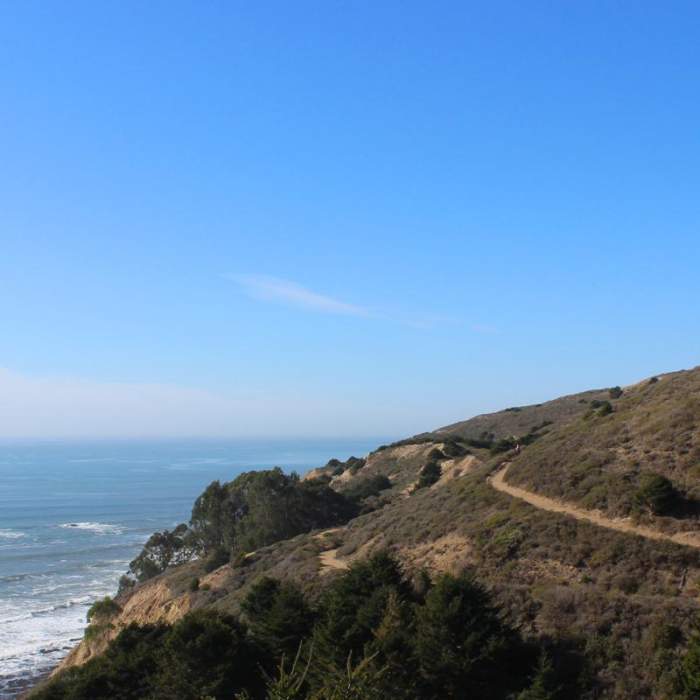 Near Palomarin to Alamere Falls Out and Back