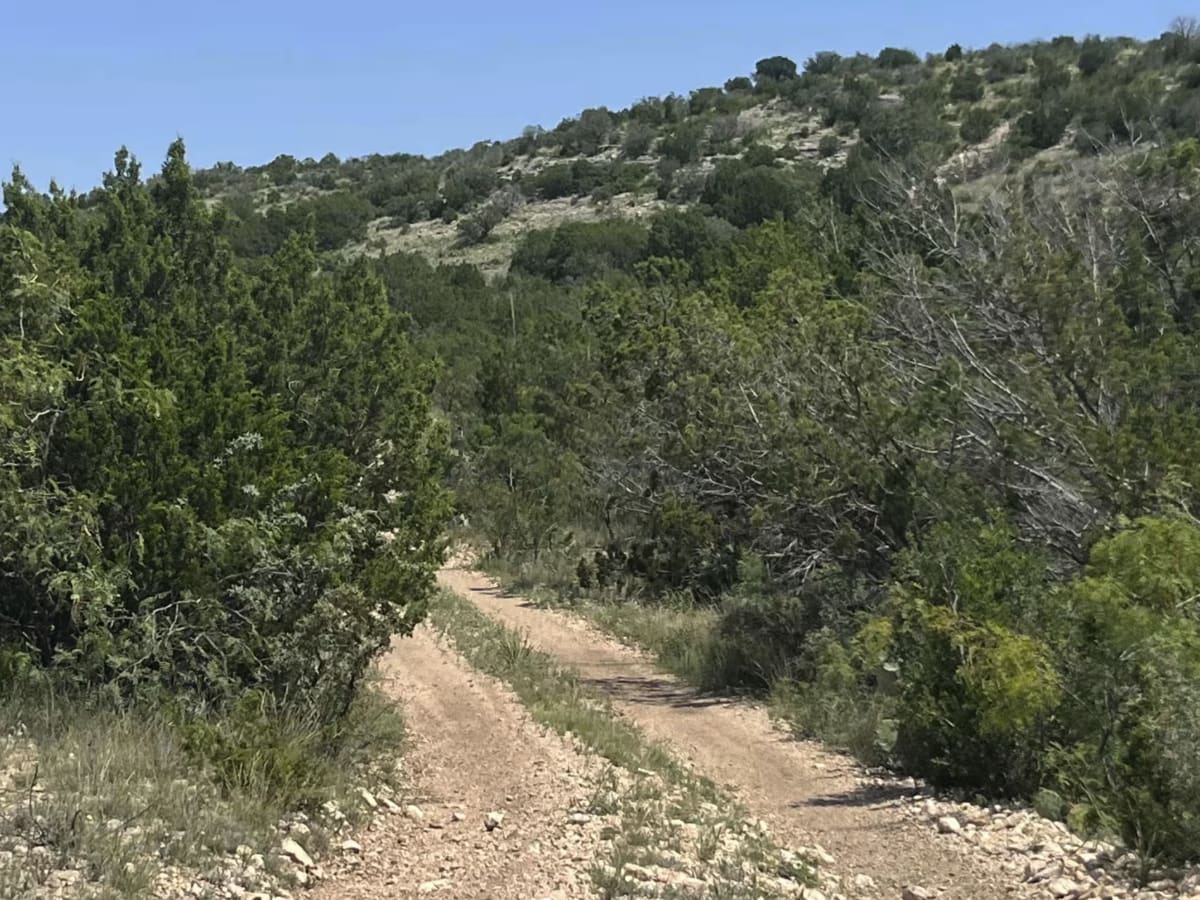 Pard Road 9 - PR9 photo 5