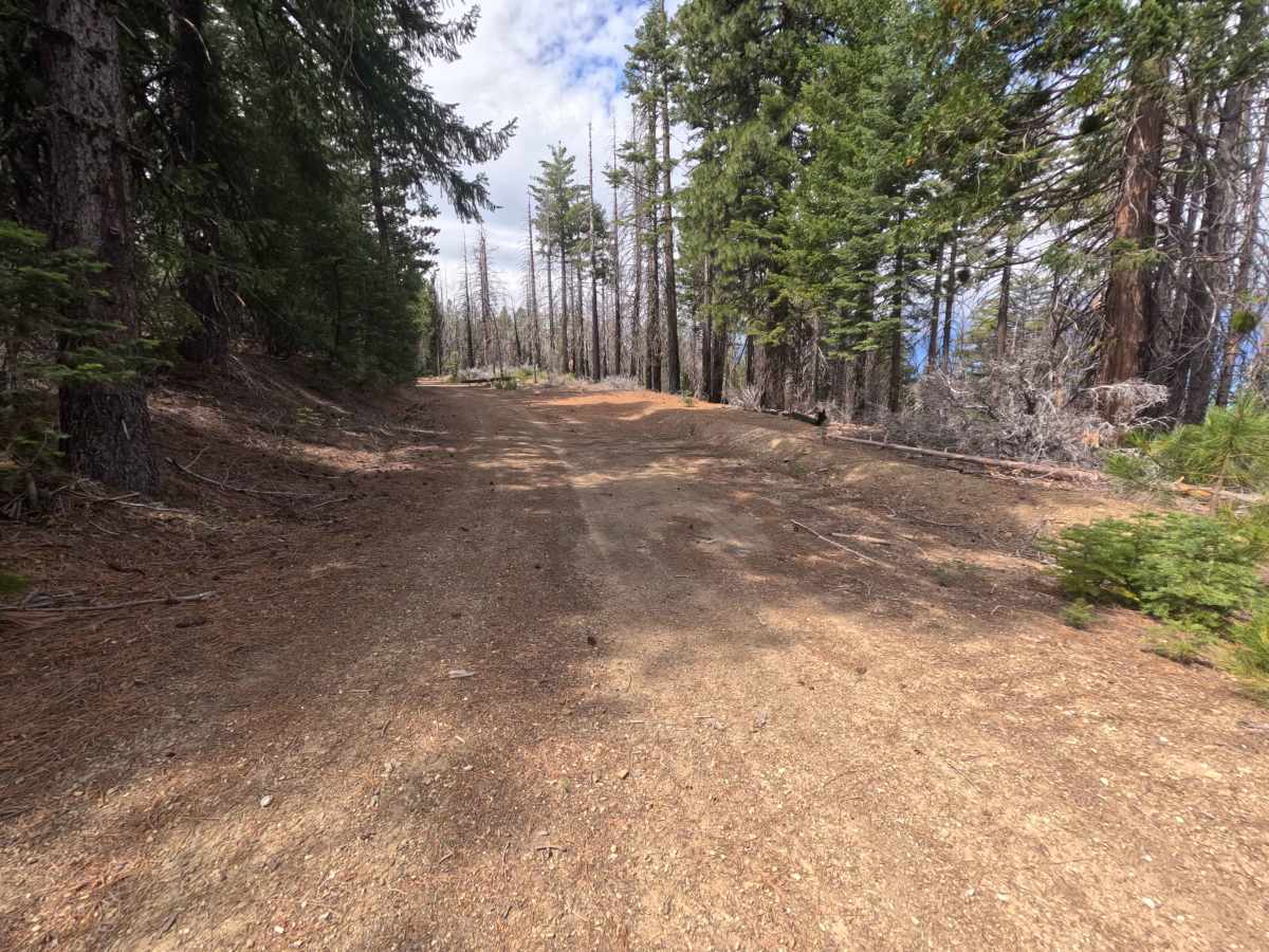 Brushy Camp Ridge - FS 19N02 photo 6