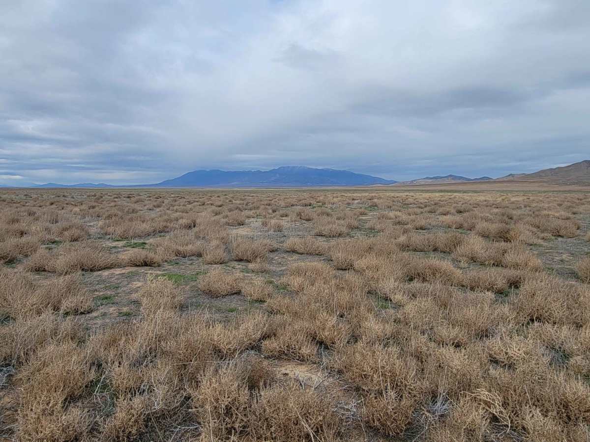 Twelve Mile Pass Road photo 3