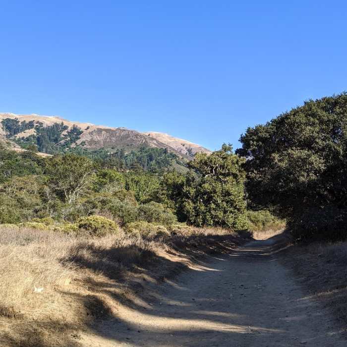 Rocky road with some shade. Near Beach Trail