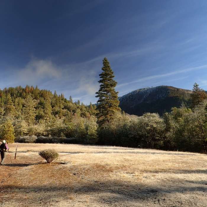 Passing through the meadow Near Enchanted Forest Trail