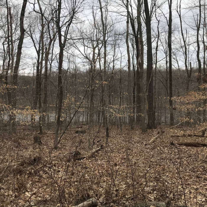 View of Scott's Run Lake Near French Creek State Park Loop with Horseshoe Trail