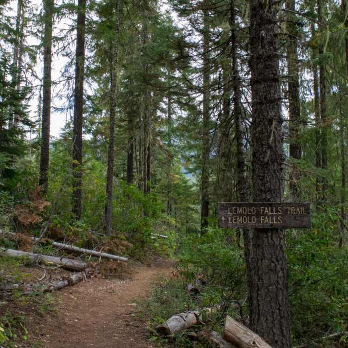 Near Lemolo Falls via the Lemolo Falls Trail