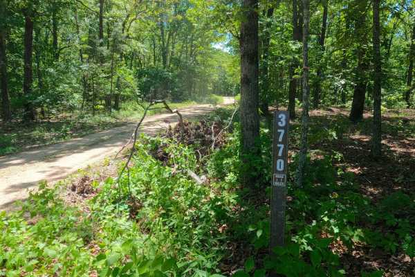 Bee Hole Ridge - FS 3770