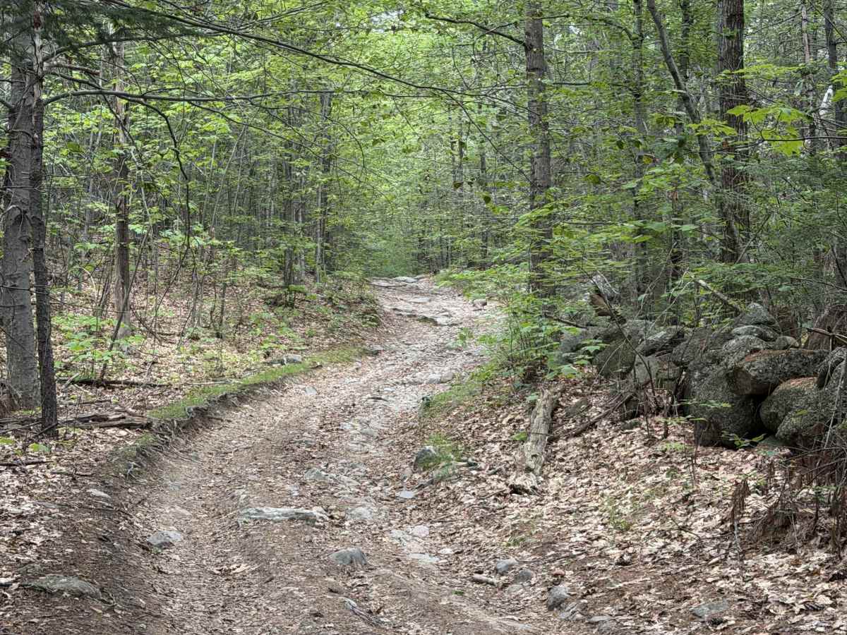 Badger Lane photo 4