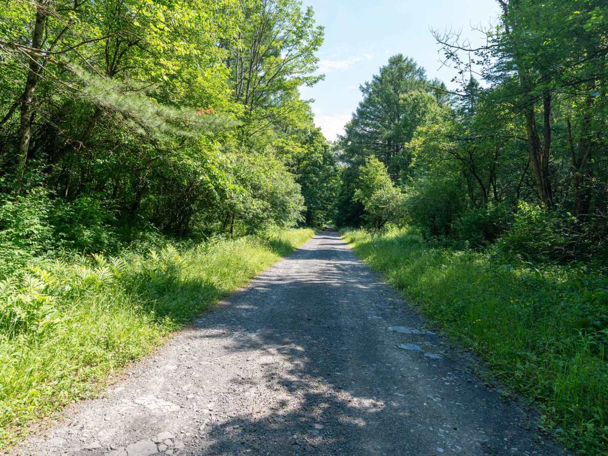 Brown Rd photo 3