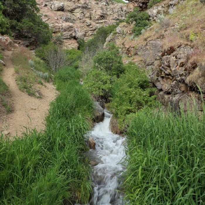 Near Davis Creek Falls