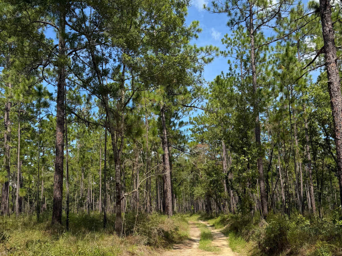 Blackwater River R76 photo 5