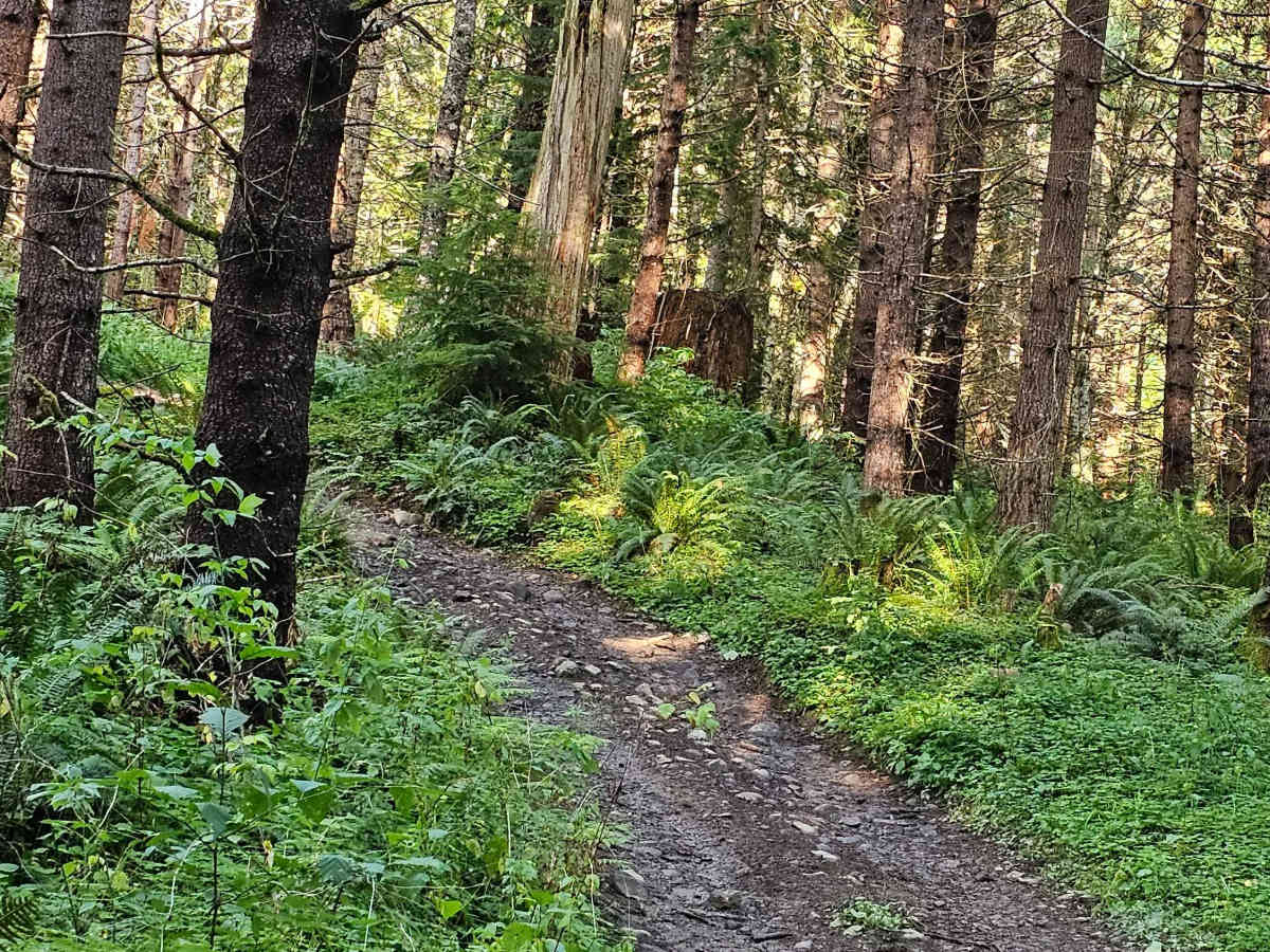 Inner Alder loop photo 3