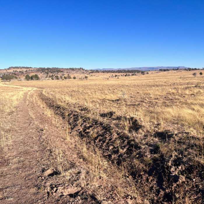 Near Frenchglen to Jack Mountain Road Near Frenchglen to Jack Mountain Road
