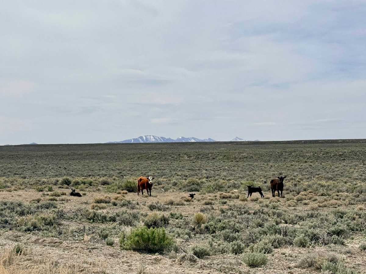 Silver Creek Road photo 5