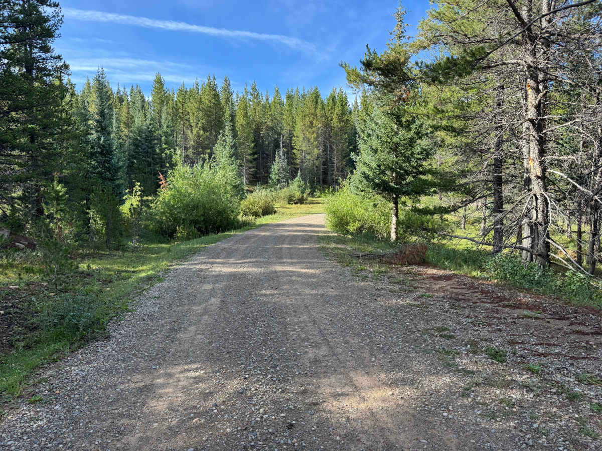 Taylor Mesa Road photo 4