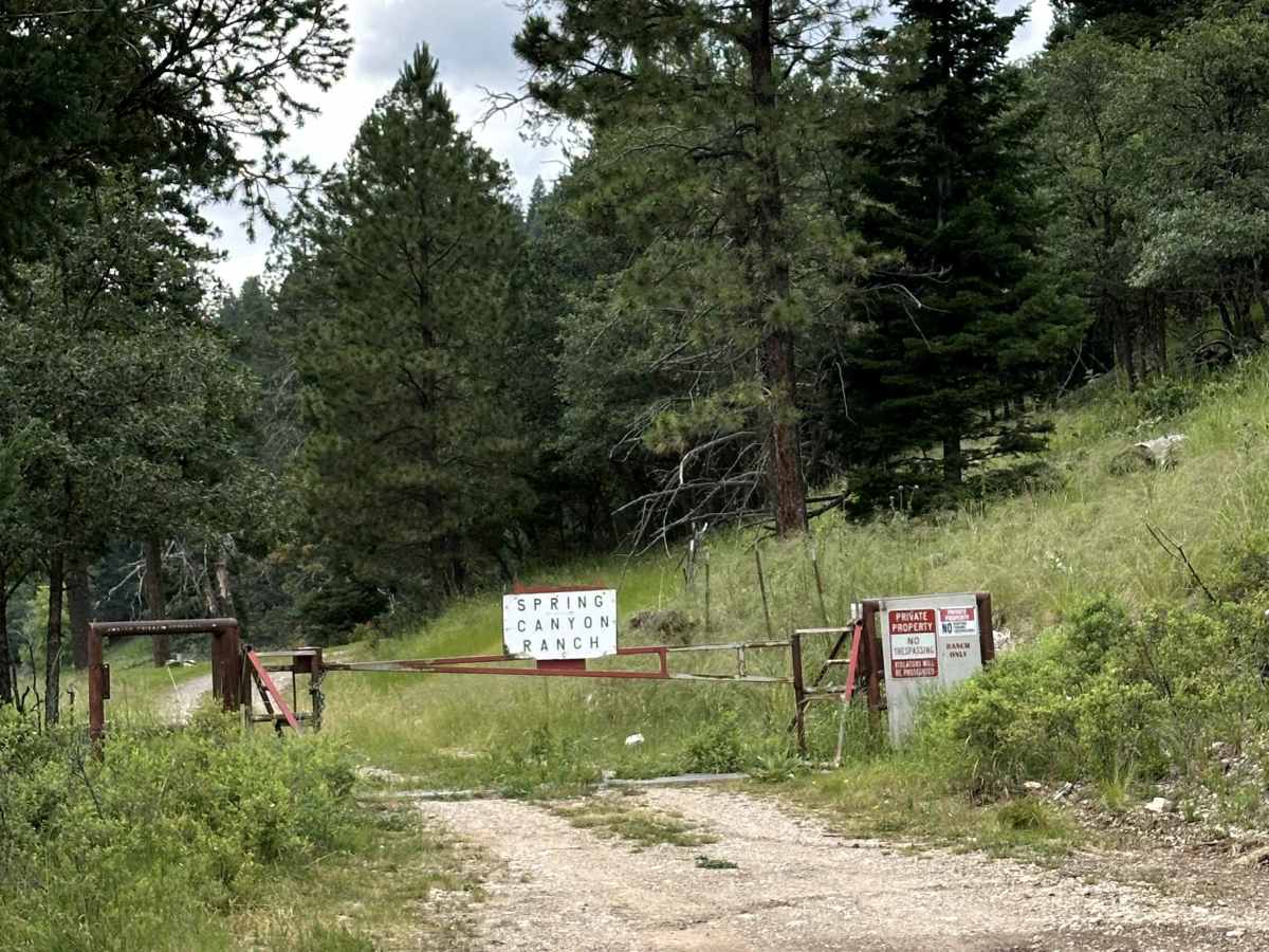 Spring Canyon photo 6