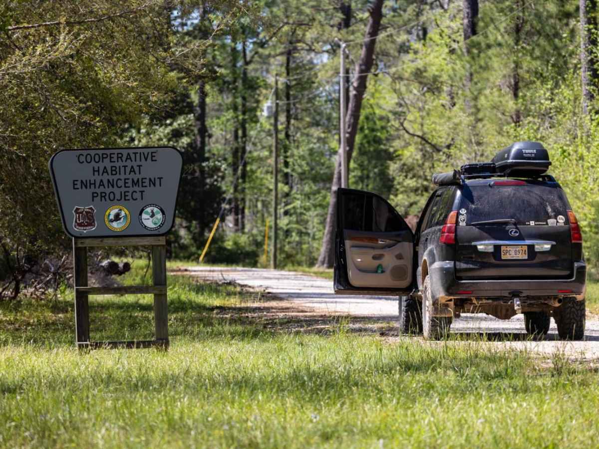 Ashe Lake Trail trail photo