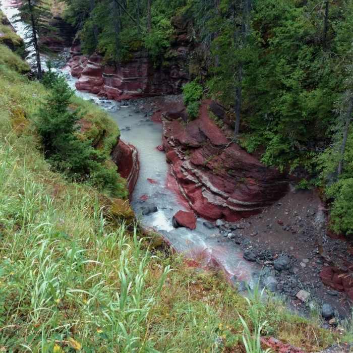 Near Blakiston Falls