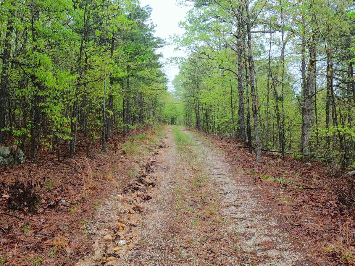 Rocky Top - FS 2663 photo 4