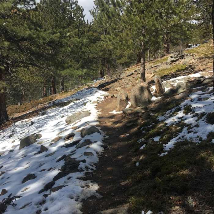 Near Black Bear Trail