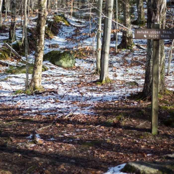 Near Maple Ridge + Butler Lodge Loop Near Maple Ridge + Butler Lodge Loop