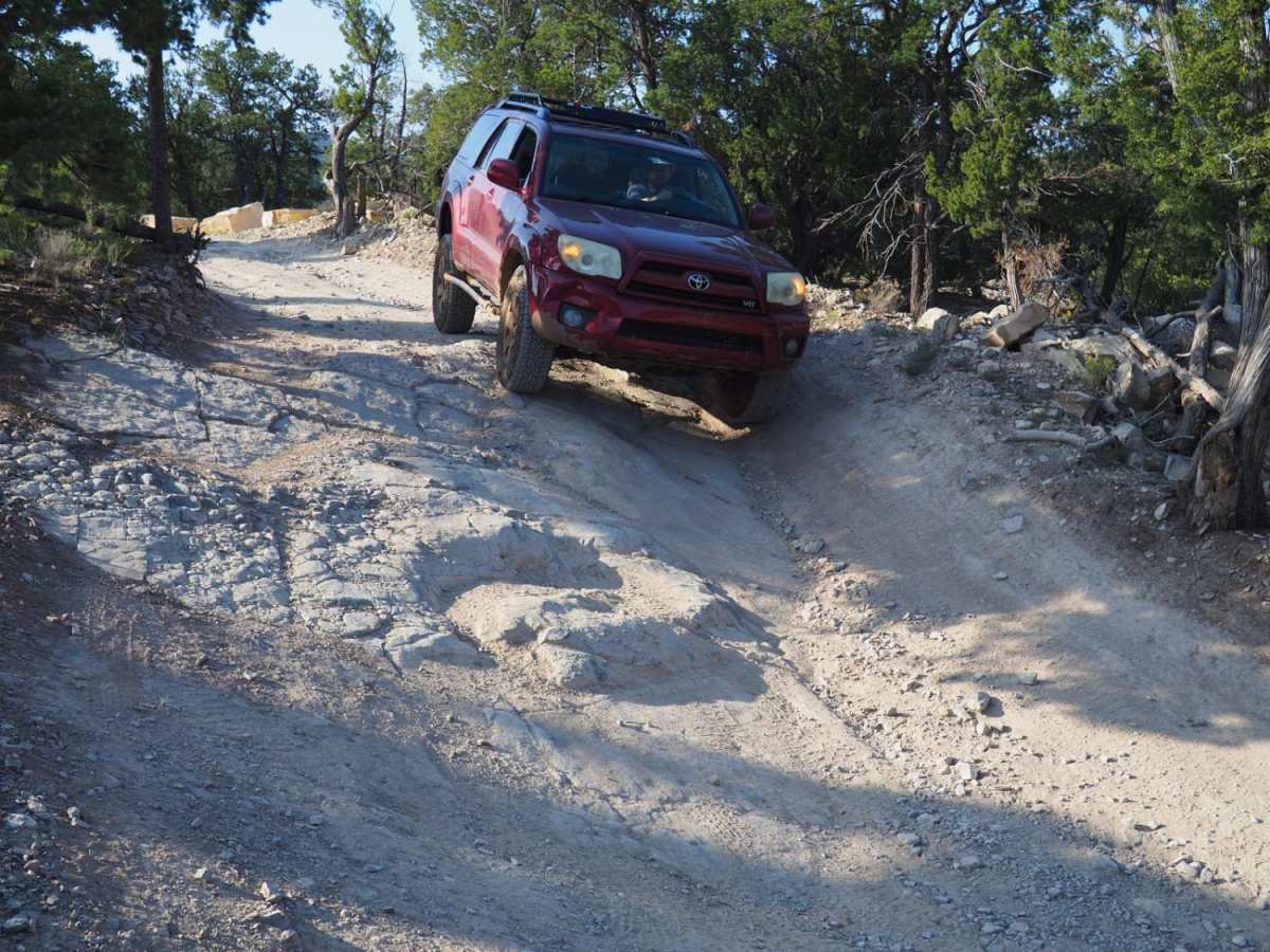 Coyote Mesa Trail photo 4