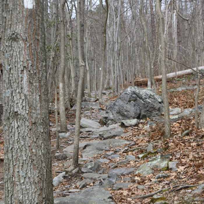 Near Raven Rocks Out-and-Back