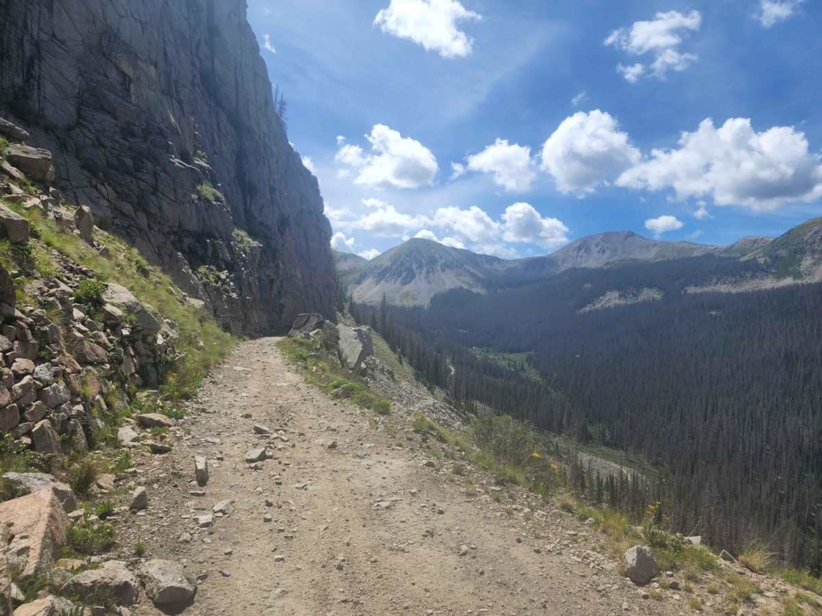 Williams Pass Trail photo 5