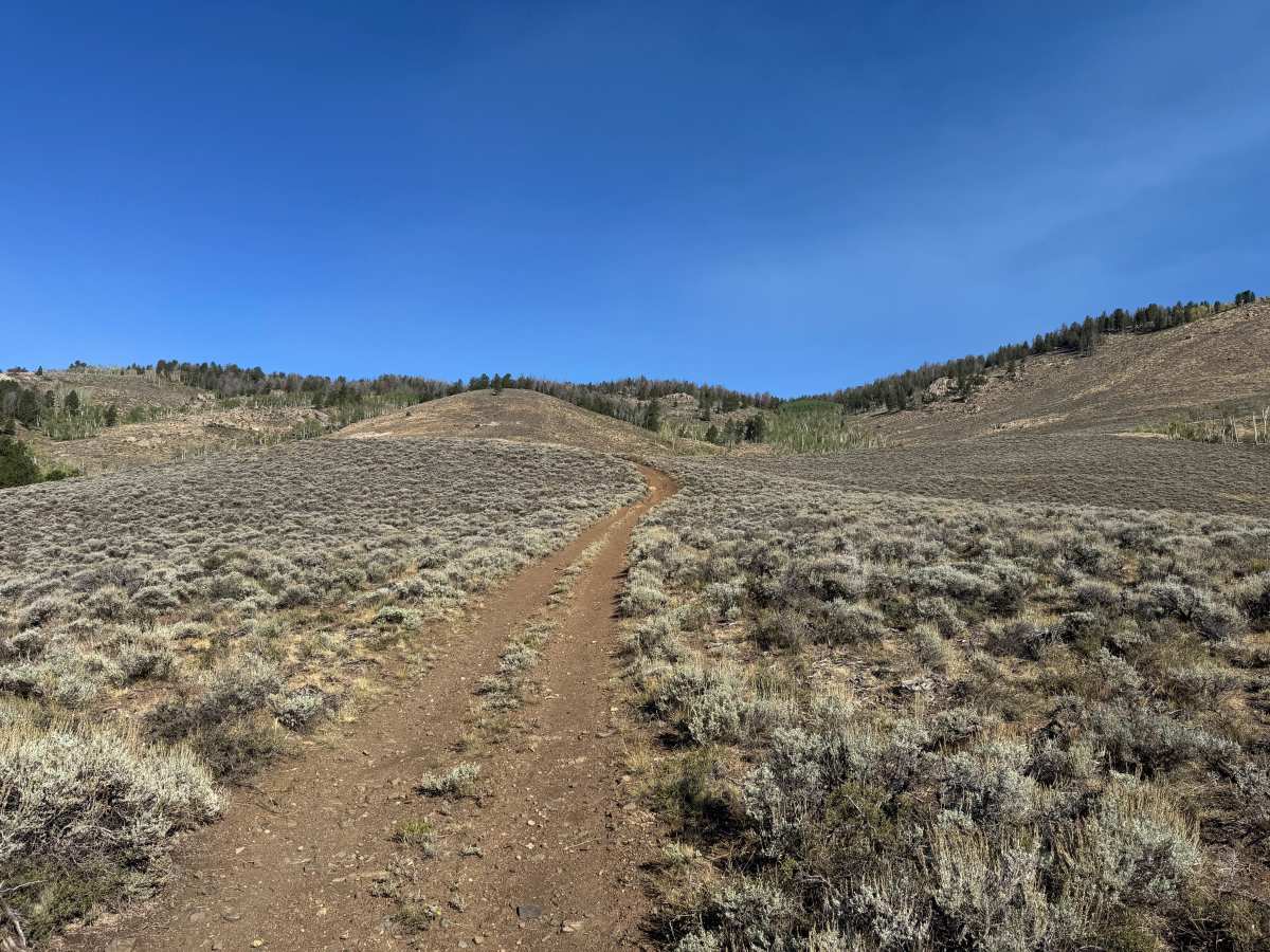 Flick Gulch Road photo 3