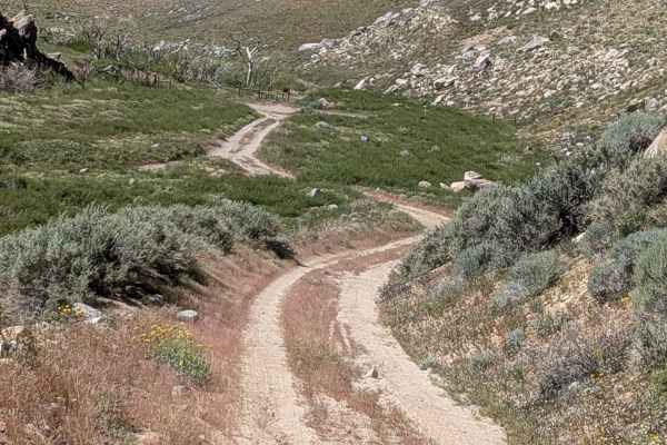Sand Canyon Cliff Road - BLM 117 