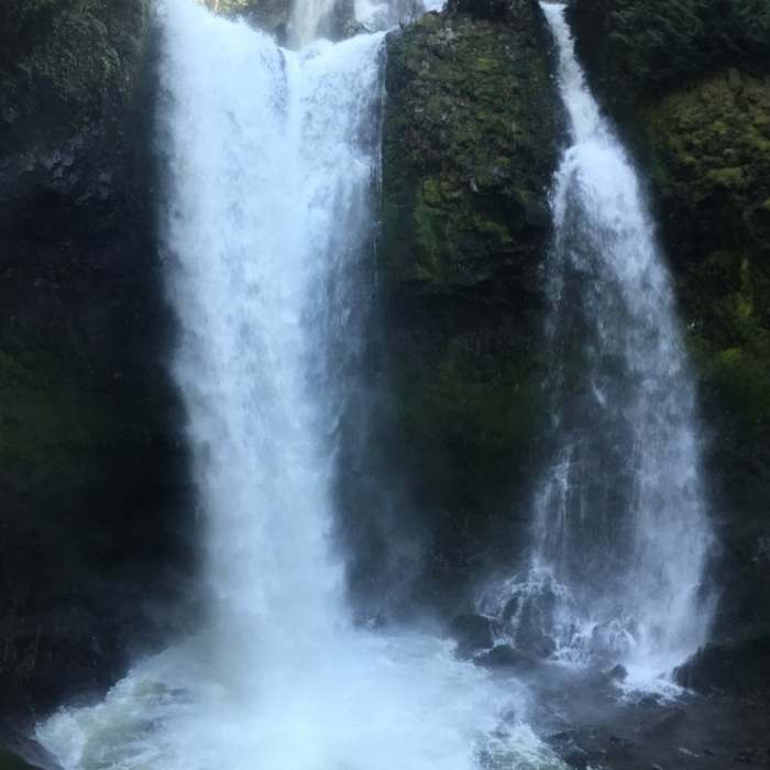 Near Falls Creek Falls Loop