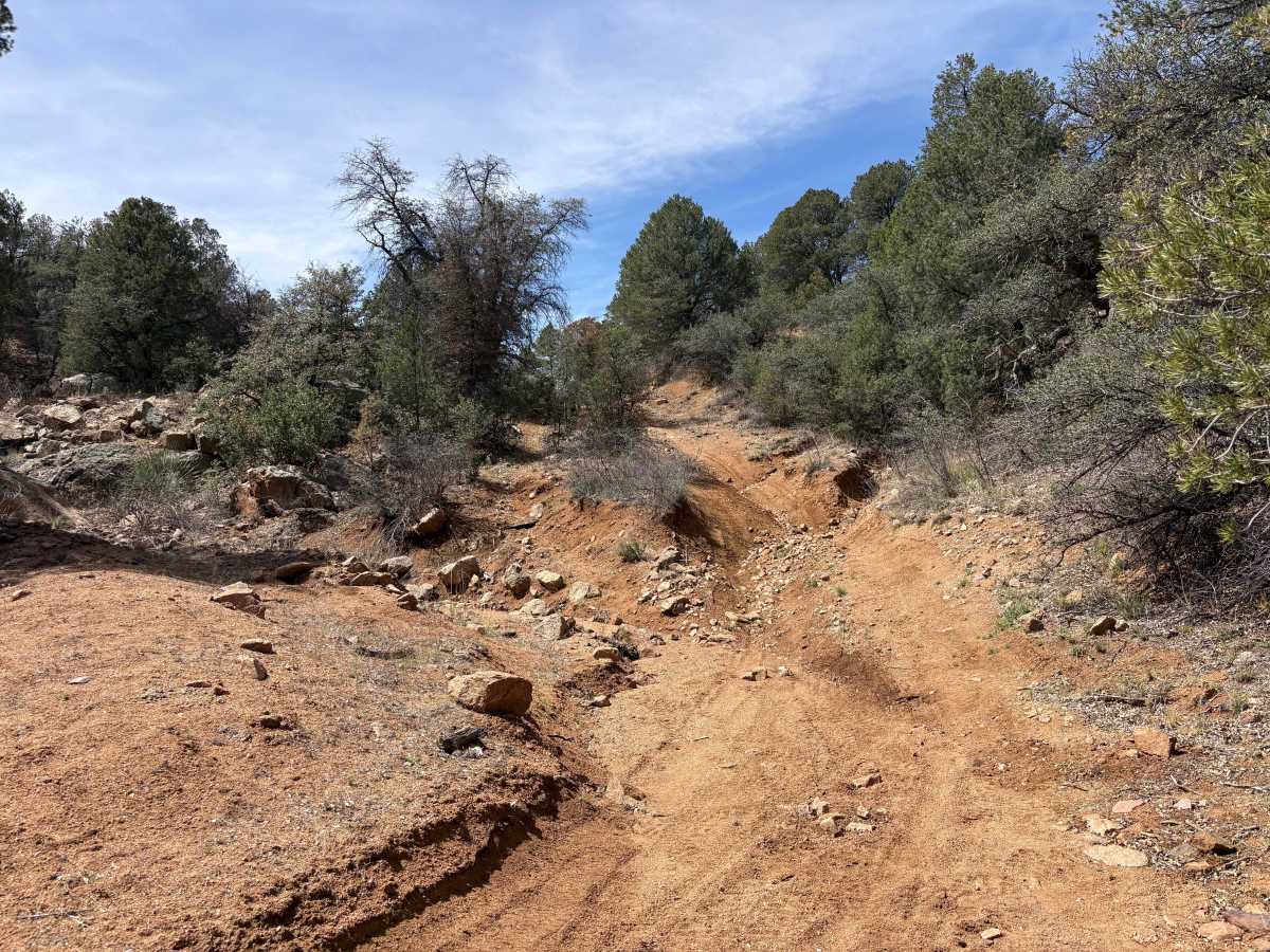 Trail 902 photo 2