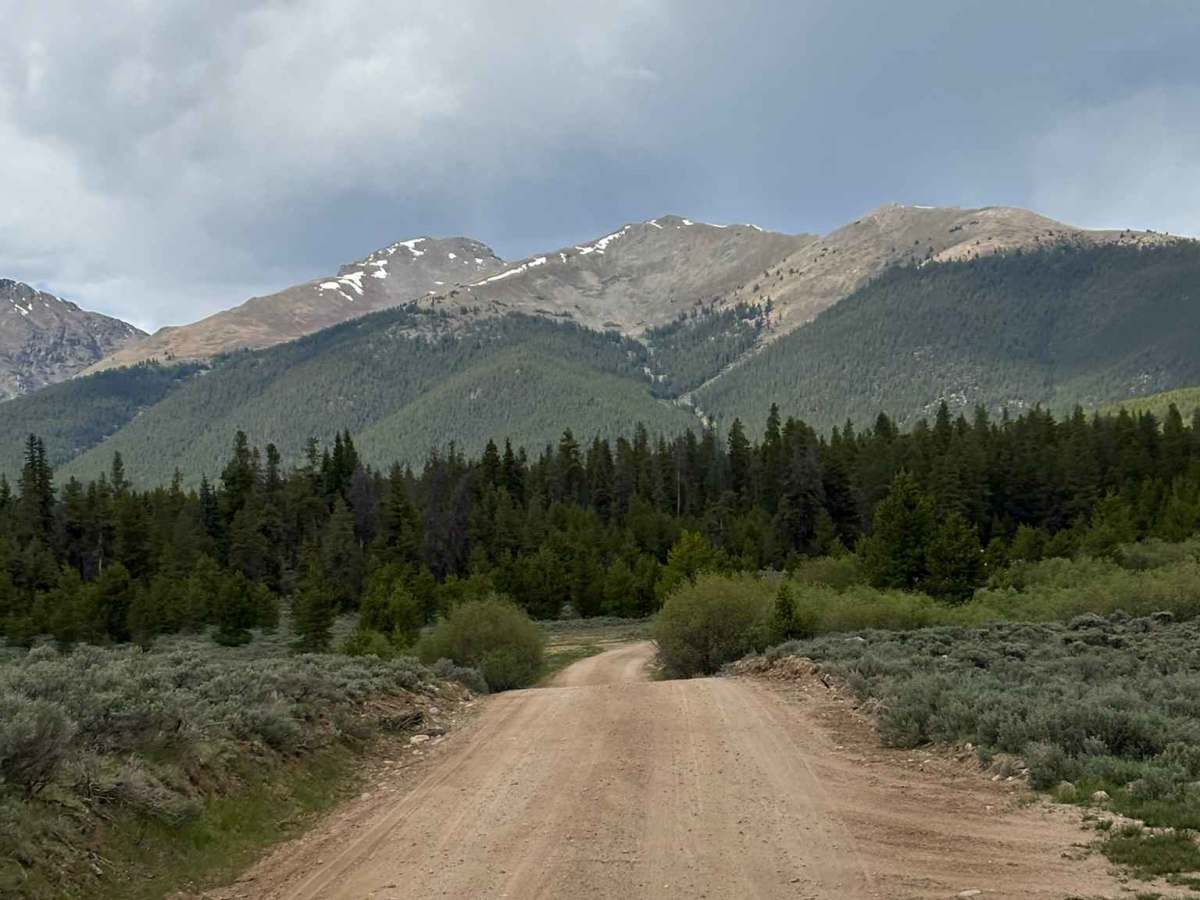 Red Mountain Creek Road photo 2