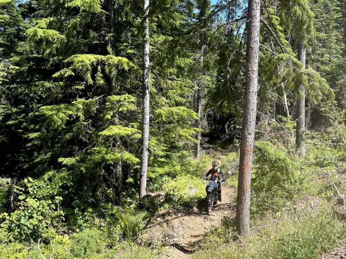 Canyon Fork photo 4