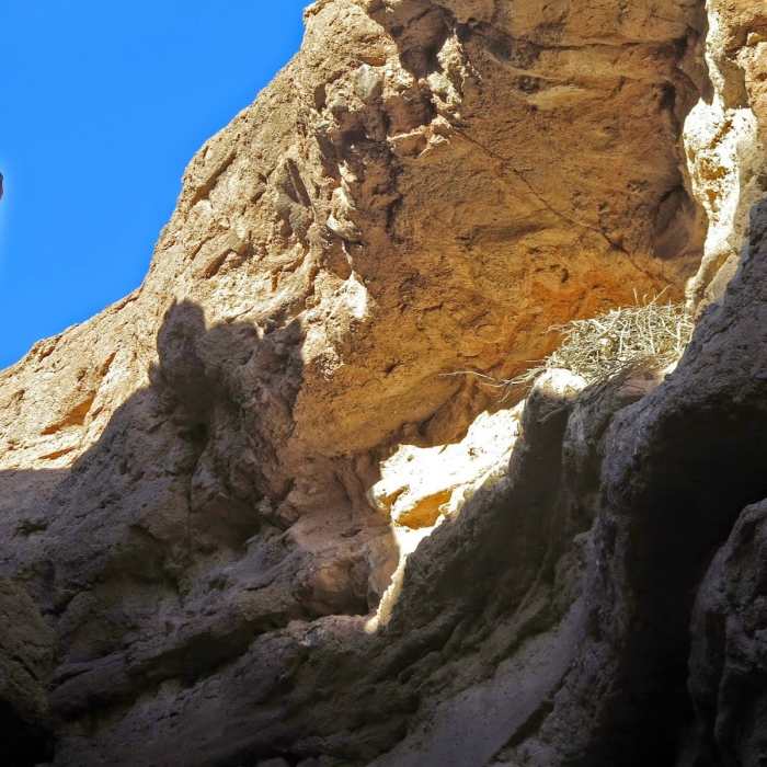 Near Shoreline & White Owl Canyon Loop