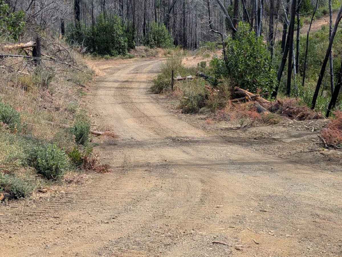 Jud Creek Road - FS 3N07 trail photo
