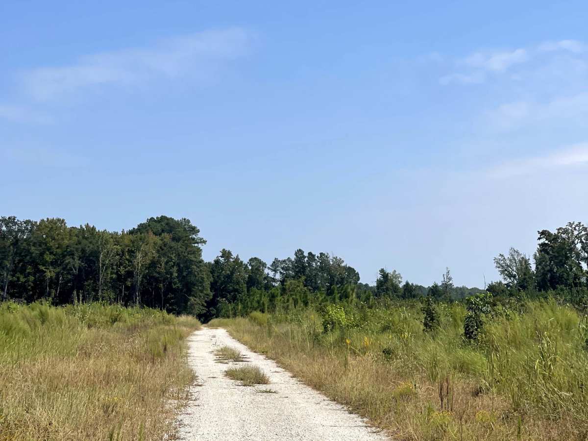 Mingo Road trail photo