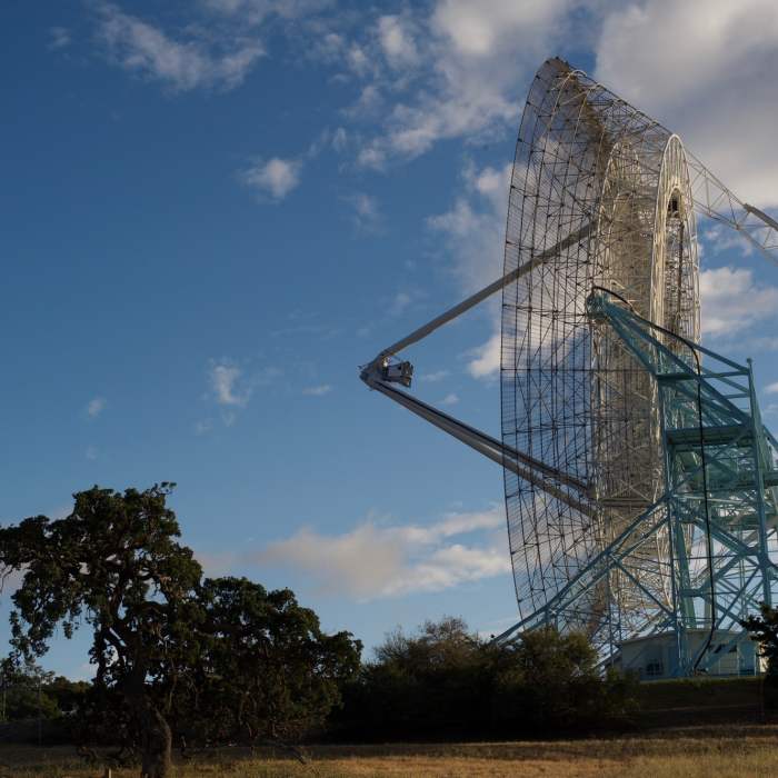Near Stanford Dish Loop