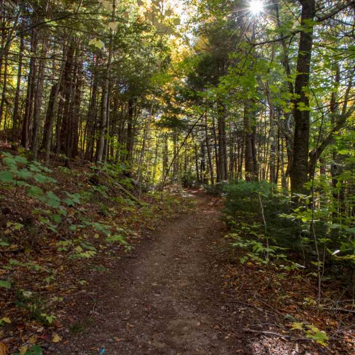 Near Table Mountain Near Table Mountain