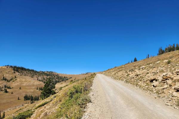 Potters Canyon - FS 50271