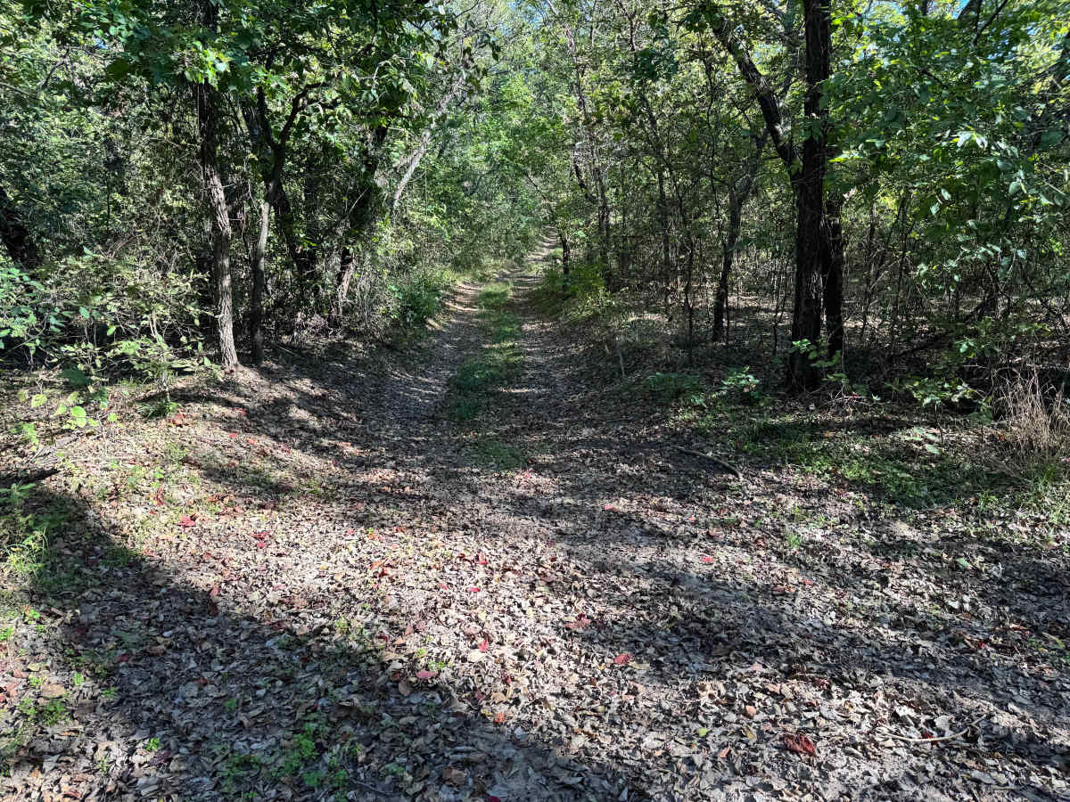 The Rebuild trail photo