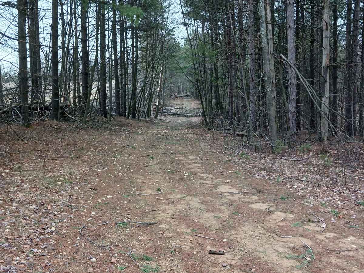 Borrow Pit Path - Rock Run Recreation Area trail photo