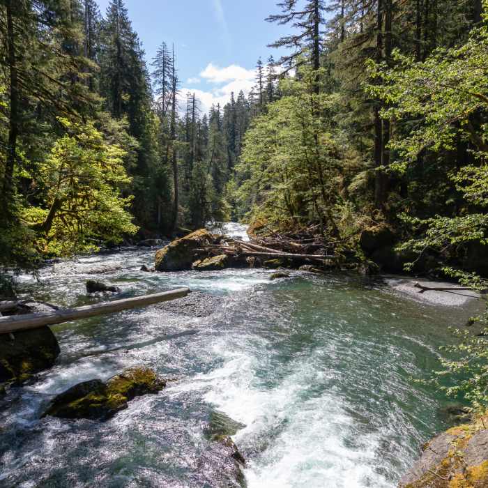 Near Four Streams Trail Near Four Streams Trail
